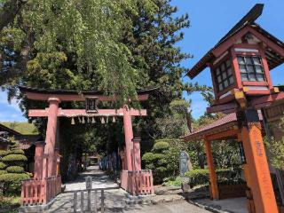 猫神社（遠野郷八幡宮境内社）の参拝記録(SFUKUさん)