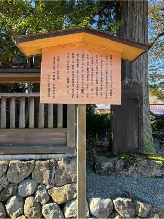 白川神社（水無神社境内社）の参拝記録(こーちんさん)