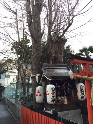 白龍大神の参拝記録(ととるしさん)