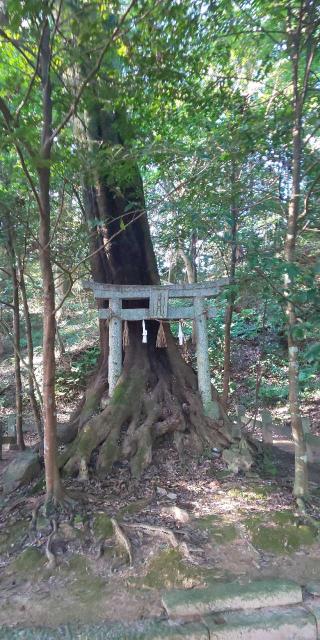 木山神社(木山さん)の参拝記録(はにほへとさん)