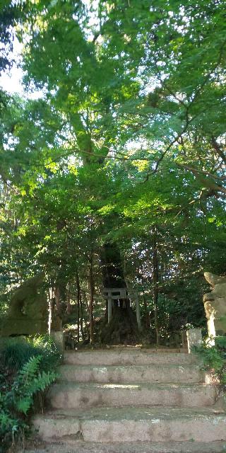 木山神社(木山さん)の参拝記録(はにほへとさん)