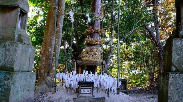 荒神社(揖夜神社境内社)の参拝記録2