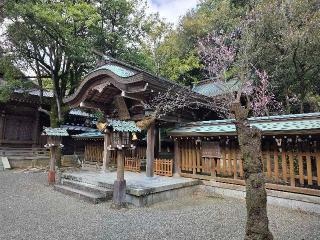 城山神社（菊池神社摂社）の参拝記録(飛成さん)