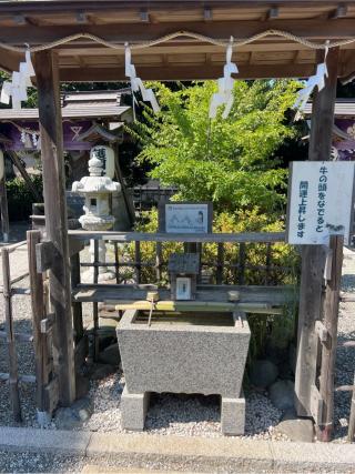 護国社（本村八王子神社境内社）の参拝記録(⛩️🐍🐢まめ🐢🐍⛩️さん)