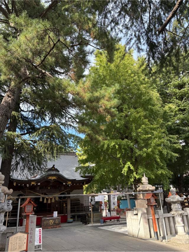 草加神社御神木の参拝記録1