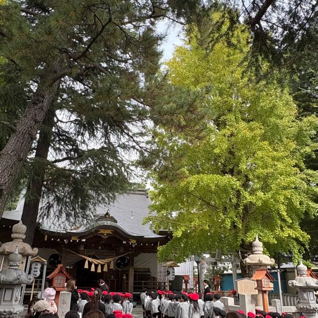 草加神社御神木の参拝記録1