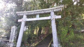 若宮神社の参拝記録(ruinさん)