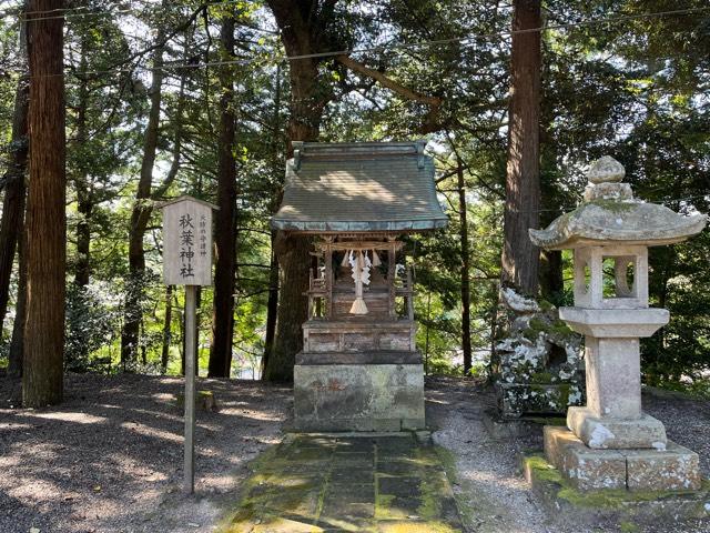 京都府京丹後市峰山町泉1165-2 秋葉神社(金刀比羅神社境内社)の写真1