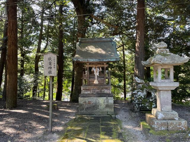 秋葉神社(金刀比羅神社境内社)の参拝記録1