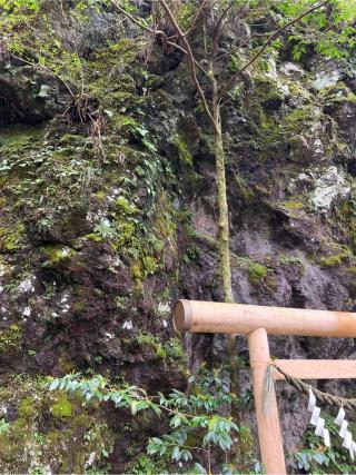 白山社(玉置神社 境内社)の参拝記録(⛩️🐍🐢まめ🐢🐍⛩️さん)
