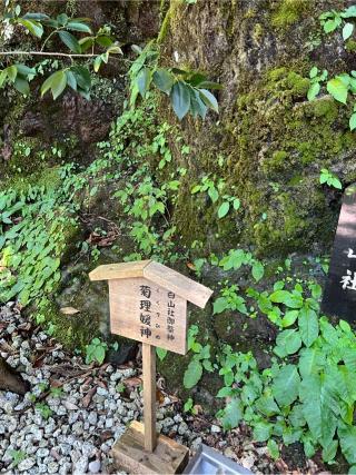 白山社の参拝記録(⛩️🐍🐢まめ🐢🐍⛩️さん)