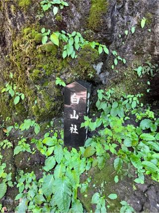 白山社の参拝記録(⛩️🐍🐢まめ🐢🐍⛩️さん)