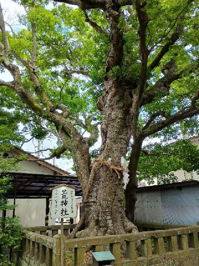 荒神社(白潟天満宮境内社)の参拝記録1