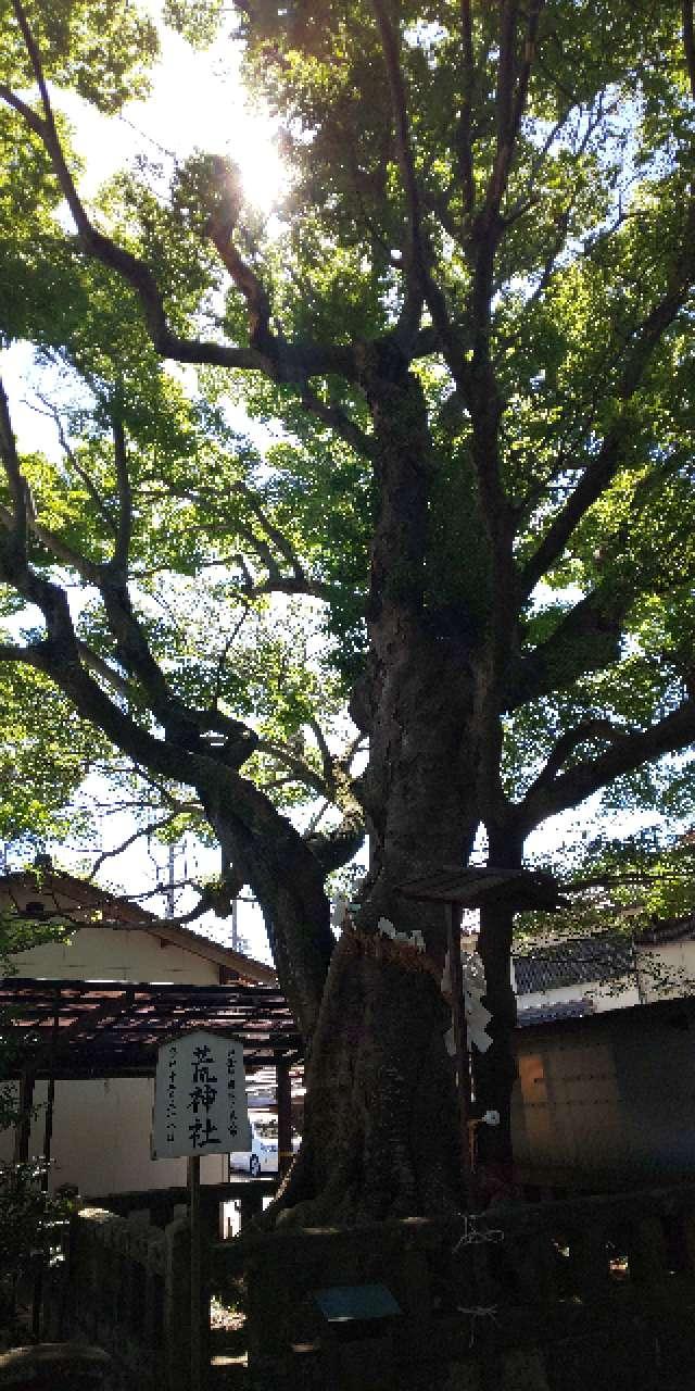 荒神社(白潟天満宮境内社)の参拝記録3