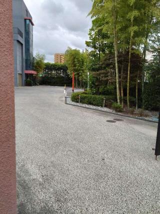 稲荷神社（会社敷地内）の参拝記録(三毛猫さん)