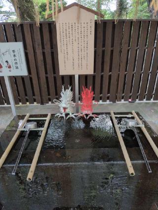祖霊社（伊豆山神社境内社）の参拝記録(SFUKUさん)