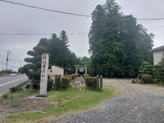 鷺宮神社の参拝記録(さとみさん)