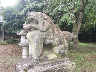 鷺宮神社の参拝記録(さとみさん)