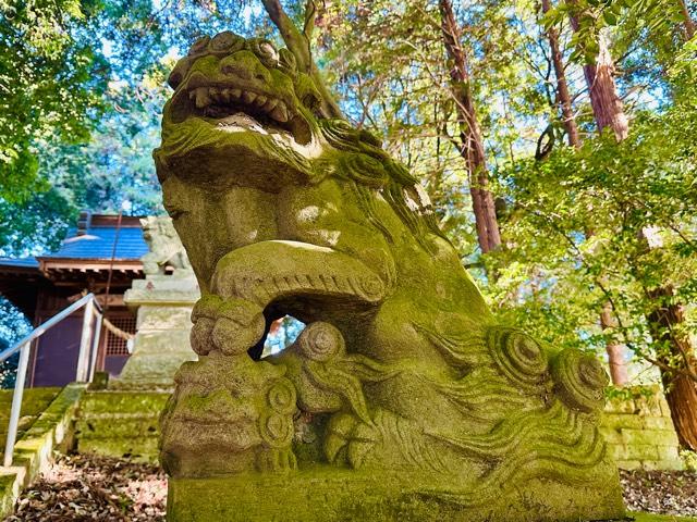 星宮神社の参拝記録1