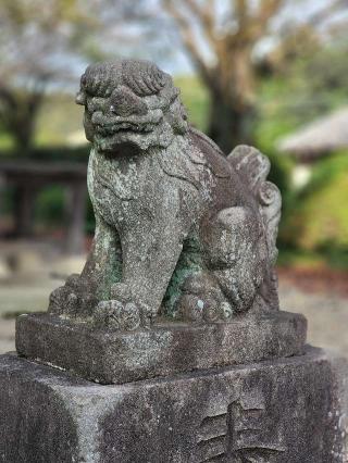 星宮神社の参拝記録(たけちゃ～ん⚾さん)