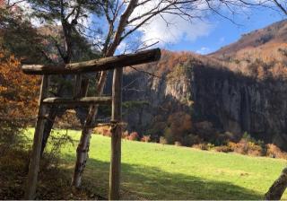 米子山神社の参拝記録(竜胆の花さん)