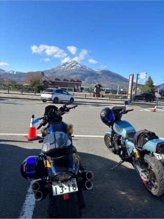 河京赤べこ神社の参拝記録(シンプソンさん)