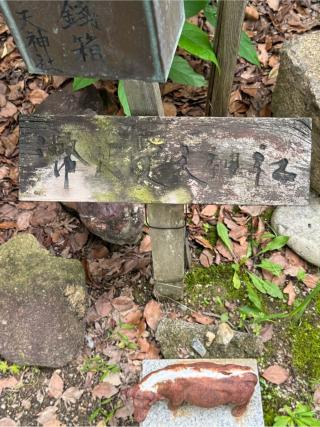 幣良受天神社(玉鉾神社境内社)の参拝記録(こーちんさん)