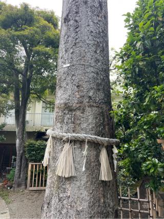 稲荷神社(八幡神社境内社)の参拝記録(⛩️🐍🐢まめ🐢🐍⛩️さん)