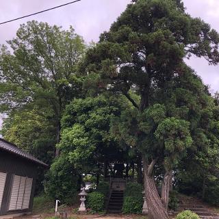白山神社の参拝記録(ワヲンさん)