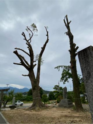 志々岐神社の参拝記録(はるかあきさん)