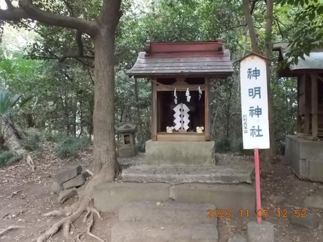 埼玉県深谷市東方1709 神明神社（熊野大神社境内社）の写真1