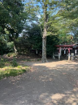 神明神社（熊野大神社境内社）の参拝記録(⛩️🎠🐢まめ🐢🎠⛩️さん)