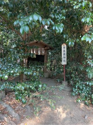 手長男神社（熊野大神社境内社）の参拝記録(⛩️🐍🐢まめ🐢🐍⛩️さん)