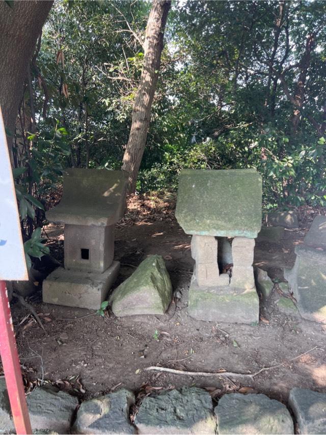 大杉神社（熊野大神社境内社）の参拝記録1