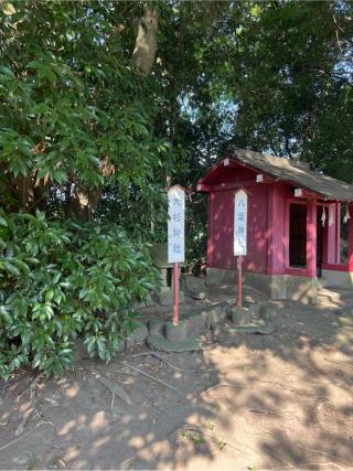 大杉神社（熊野大神社境内社）の参拝記録(⛩️🐍🐢まめ🐢🐍⛩️さん)