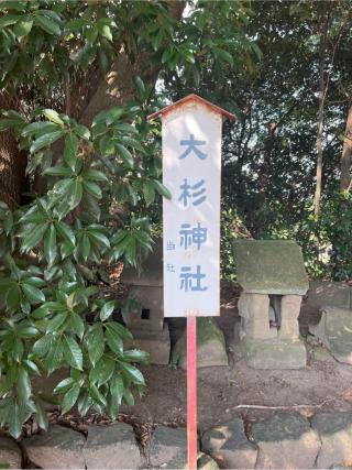大杉神社（熊野大神社境内社）の参拝記録(⛩️🐍🐢まめ🐢🐍⛩️さん)