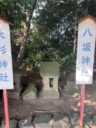八坂神社（小）（熊野大神社境内社）の参拝記録(⛩️🐍🐢まめ🐢🐍⛩️さん)