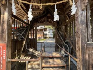 土佐神社 輪抜祓所の参拝記録(こーちんさん)