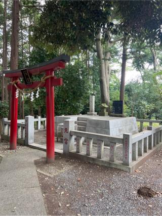 元宮（下鶴間諏訪神社境内）の参拝記録(⛩️🐍🐢まめ🐢🐍⛩️さん)