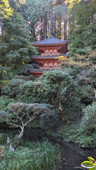 岩船寺　三重塔の参拝記録(BREITLINGさん)