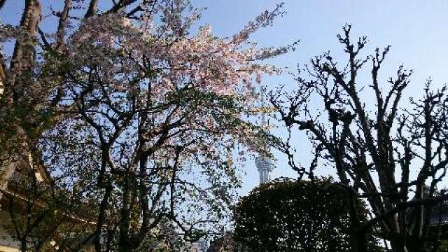 東京都墨田区向島5-4-4 長命寺の写真9