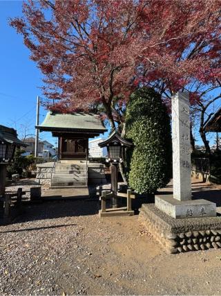 入間招魂社（入間野神社境内）の参拝記録(こーちんさん)