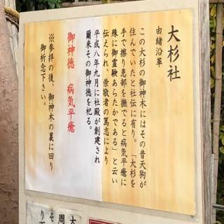 大杉社(伊奴神社境内)の参拝記録(ワヲンさん)