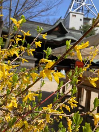 三峯神社(四柱神社境内社)の参拝記録(恭子さん)