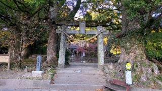 水俣諏訪神社の参拝記録(まほろばさん)
