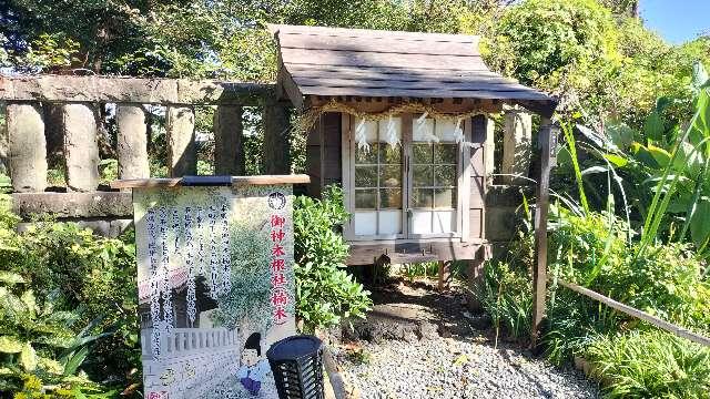 御神木根社（佐野原神社境内）の参拝記録1