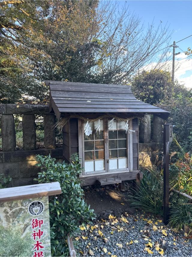御神木根社（佐野原神社境内）の参拝記録1