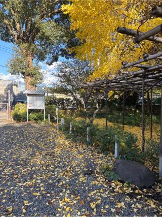 将軍塚（佐野原神社境内）の参拝記録(⛩️🐍🐢まめ🐢🐍⛩️さん)