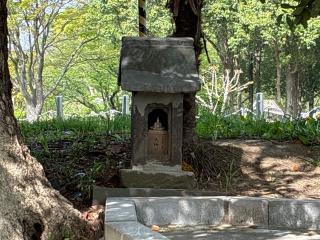 天神様（東水元熊野神社境内）の参拝記録(バルタさん)
