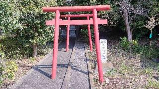 光栄稲荷善神の参拝記録(まっちゃんさん)